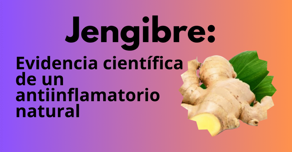 El jengibre es una raíz conocida por sus propiedades antiinflamatorias, digestivas y antioxidantes, pero en personas con hipertensión o bajo medicación para controlarla, su consumo debe ser supervisado por un profesional de la salud.