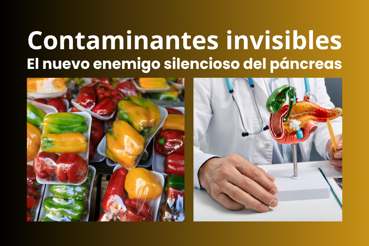 “Estudios científicos demuestran que ciertas sustancias químicas del ambiente pueden alterar el metabolismo y favorecer la aparición de diabetes tipo 2.”