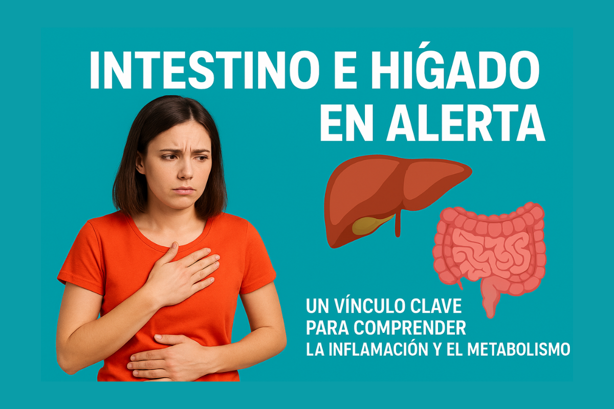 El equilibrio entre intestino e hígado influye directamente en la salud metabólica y digestiva.